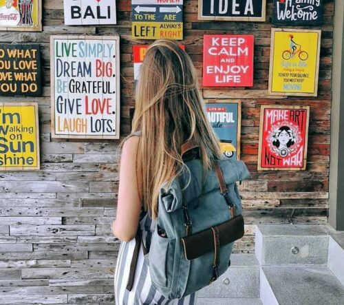 BLAIR Genuine Leather and Canvas Backpack photo review